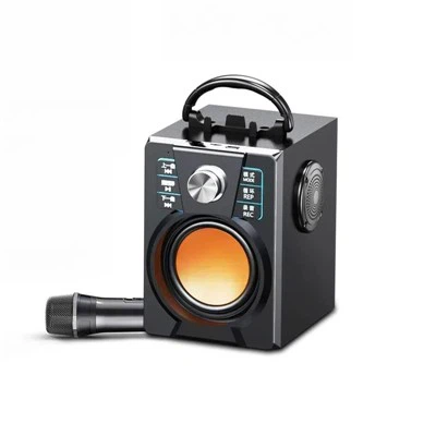 Gran altaveu portàtil amb micròfon